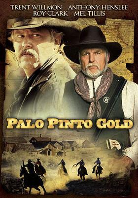 Palo Pinto Gold (2009) movie poster Palo Pinto Gold (2009)
